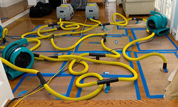 Professional Crawl Space Water Removal technician working in Wentworth, NC
